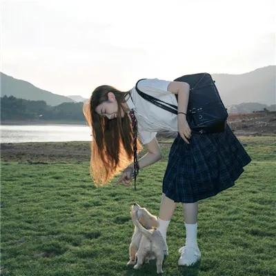 神龙飞侠