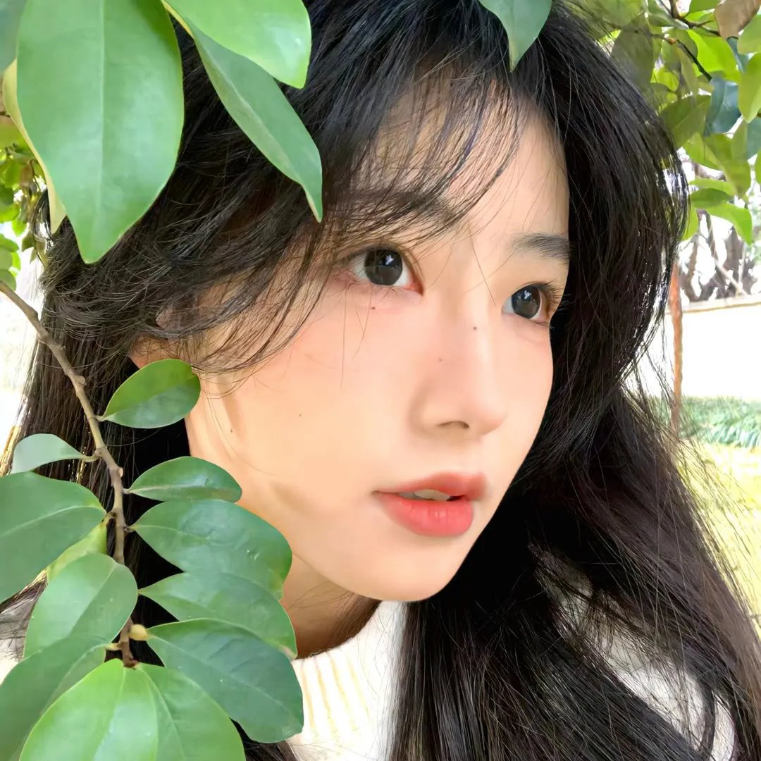 绝世情圣